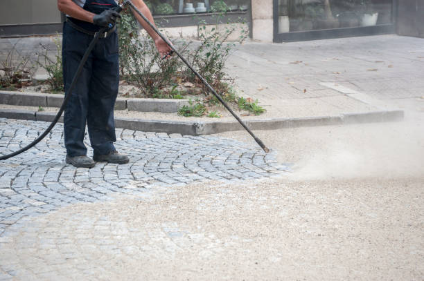 Best Dumpster Area Cleaning  in Fairmont, IL